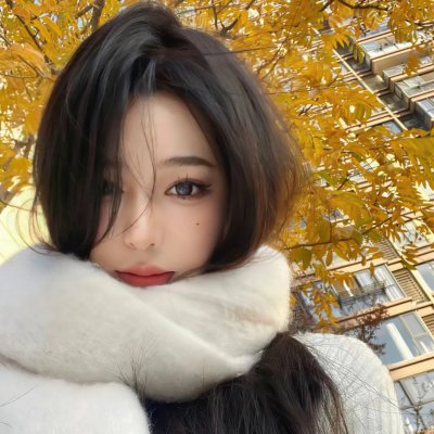 汽车先生和圣殿骑士团海报