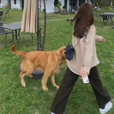 魔法科高校的优等生海报